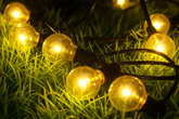 String of glowing lights on grass